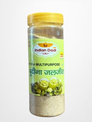 Pudina Jaljeera Spices पुदीना जलजीरा मसाला 200gm